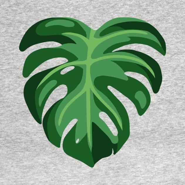 Monstera by juurkaa